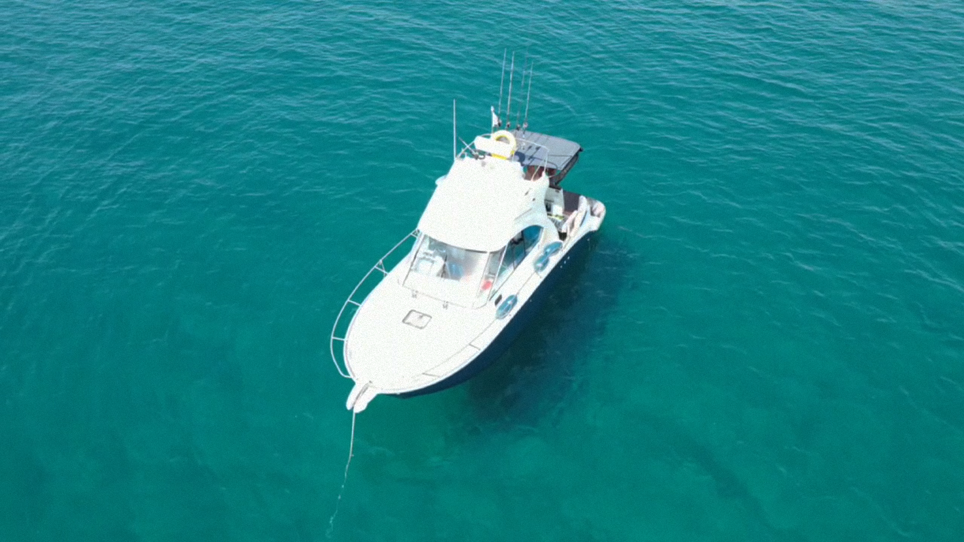 Fishing adventure video